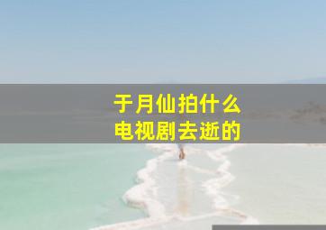 于月仙拍什么电视剧去逝的