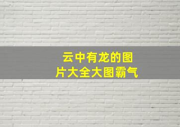 云中有龙的图片大全大图霸气