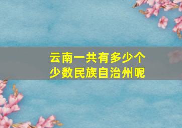 云南一共有多少个少数民族自治州呢