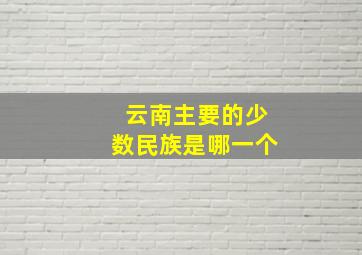 云南主要的少数民族是哪一个