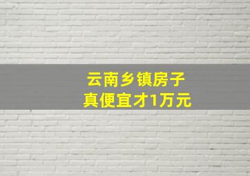 云南乡镇房子真便宜才1万元