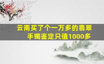 云南买了个一万多的翡翠手镯鉴定只值1000多