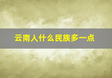 云南人什么民族多一点