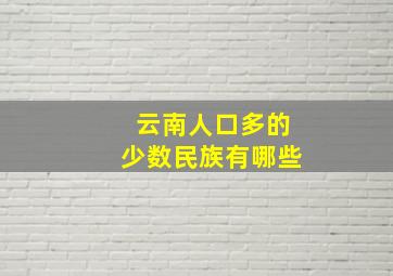 云南人口多的少数民族有哪些