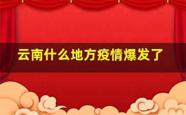 云南什么地方疫情爆发了