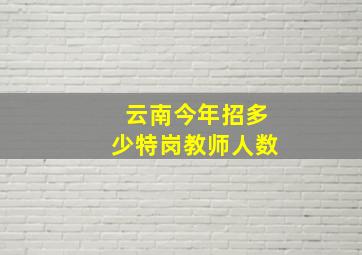 云南今年招多少特岗教师人数