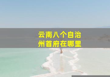 云南八个自治州首府在哪里