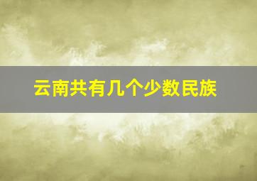 云南共有几个少数民族