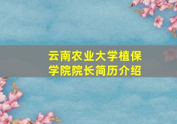 云南农业大学植保学院院长简历介绍