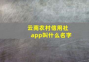 云南农村信用社app叫什么名字