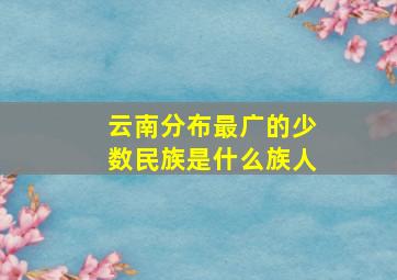 云南分布最广的少数民族是什么族人