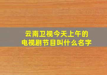 云南卫视今天上午的电视剧节目叫什么名字