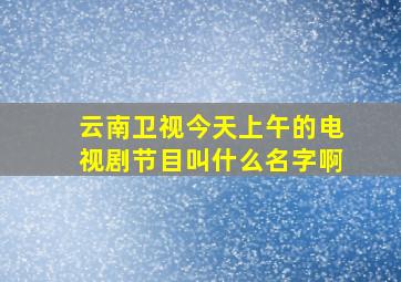 云南卫视今天上午的电视剧节目叫什么名字啊