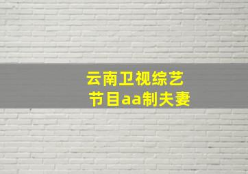 云南卫视综艺节目aa制夫妻