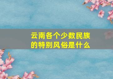 云南各个少数民族的特别风俗是什么