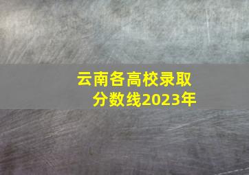 云南各高校录取分数线2023年