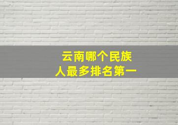 云南哪个民族人最多排名第一