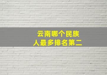 云南哪个民族人最多排名第二