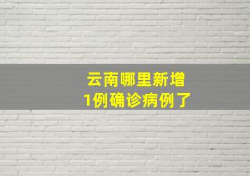 云南哪里新增1例确诊病例了