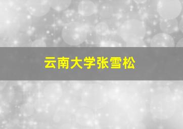 云南大学张雪松