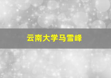 云南大学马雪峰