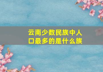 云南少数民族中人口最多的是什么族