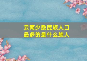 云南少数民族人口最多的是什么族人