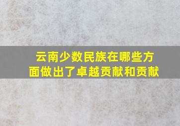 云南少数民族在哪些方面做出了卓越贡献和贡献