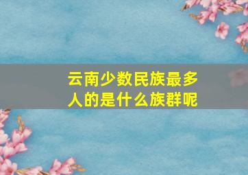 云南少数民族最多人的是什么族群呢