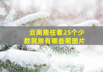 云南居住着25个少数民族有哪些呢图片