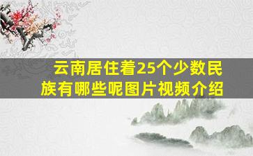 云南居住着25个少数民族有哪些呢图片视频介绍