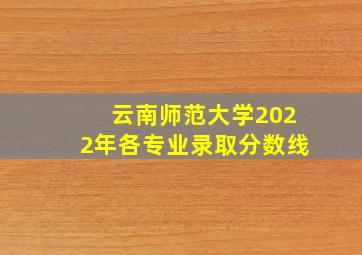 云南师范大学2022年各专业录取分数线