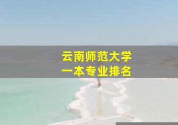 云南师范大学一本专业排名