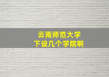 云南师范大学下设几个学院啊