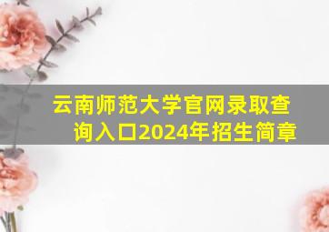 云南师范大学官网录取查询入口2024年招生简章