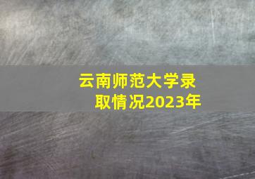 云南师范大学录取情况2023年