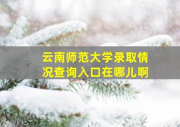 云南师范大学录取情况查询入口在哪儿啊