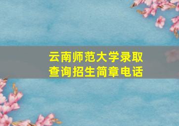 云南师范大学录取查询招生简章电话