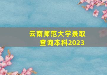 云南师范大学录取查询本科2023