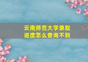 云南师范大学录取进度怎么查询不到