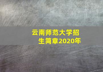 云南师范大学招生简章2020年