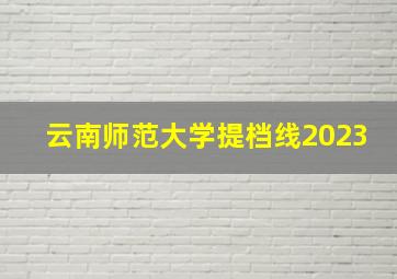 云南师范大学提档线2023