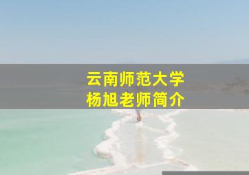 云南师范大学杨旭老师简介