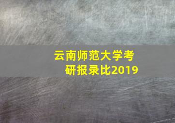 云南师范大学考研报录比2019