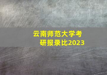 云南师范大学考研报录比2023