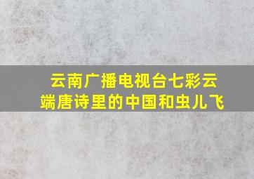 云南广播电视台七彩云端唐诗里的中国和虫儿飞