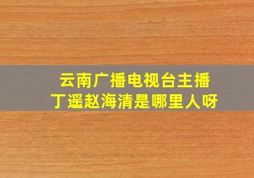 云南广播电视台主播丁遥赵海清是哪里人呀