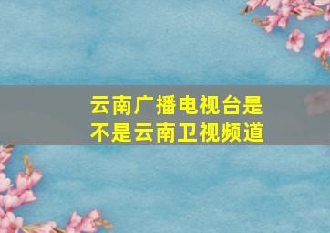 云南广播电视台是不是云南卫视频道