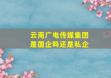 云南广电传媒集团是国企吗还是私企