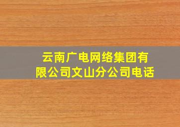 云南广电网络集团有限公司文山分公司电话